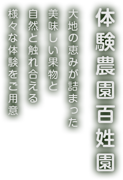 大地の恵みが詰まった美味しい果物と自然と触れ合える様々な体験をご用意