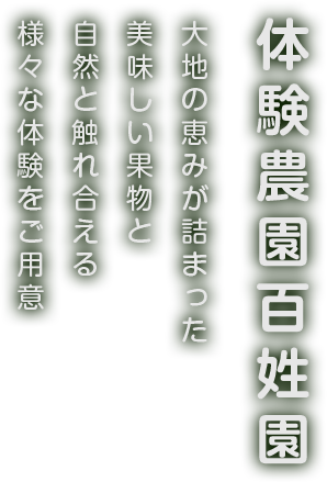 大地の恵みが詰まった美味しい果物と自然と触れ合える様々な体験をご用意